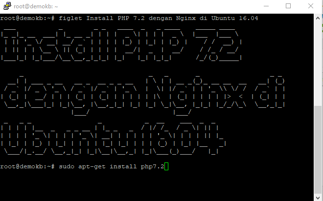 install-php7.2-nginx-ubuntu-kenceng
